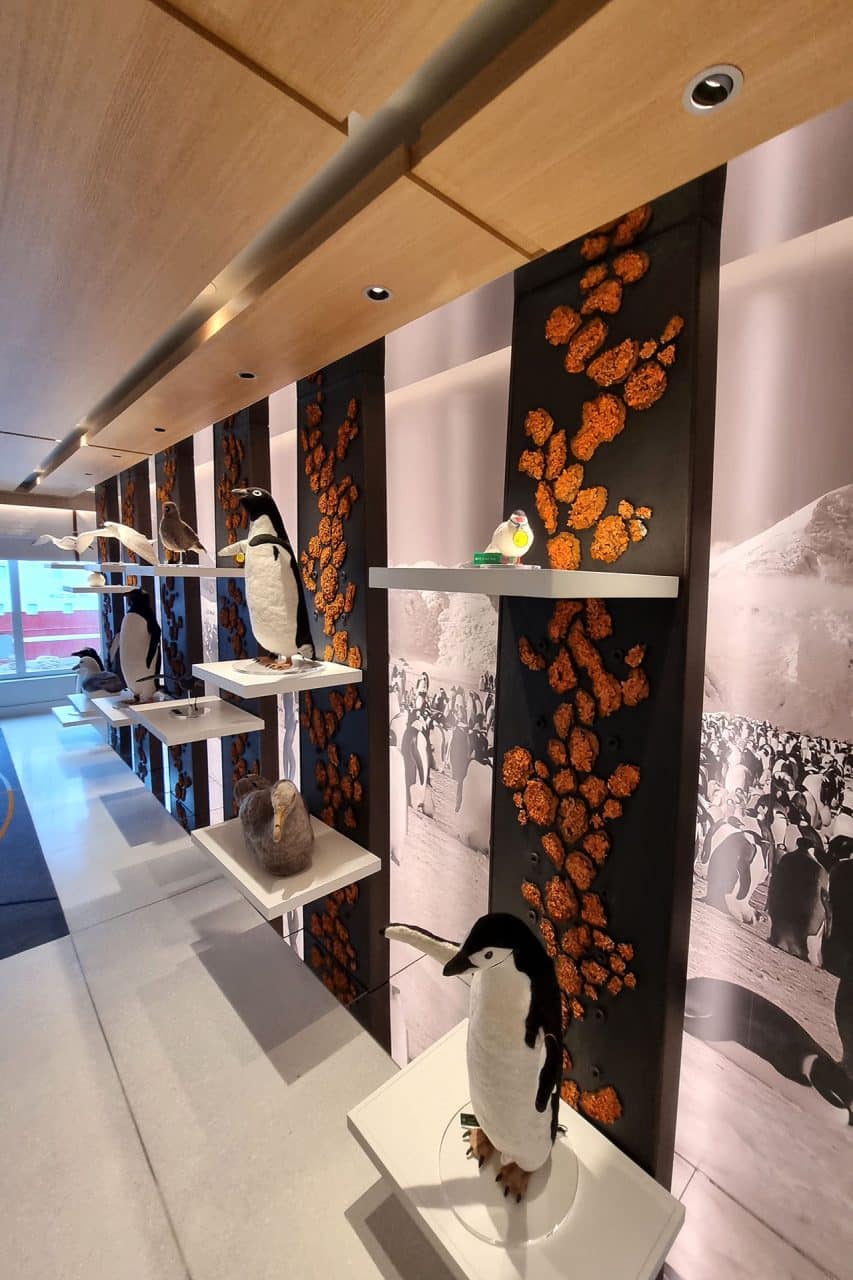 Hull 907 Viking Polaris